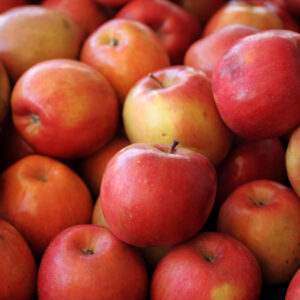 Fuji apples - 40lb box